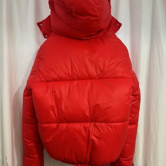 Jacket - Picture 4 of 6